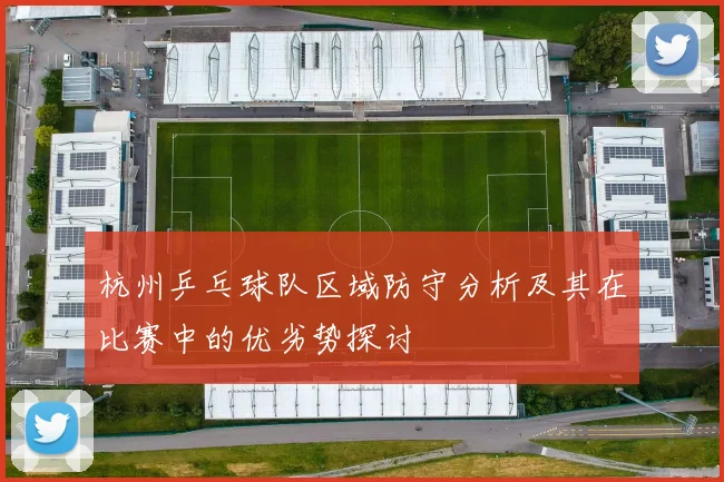 杭州乒乓球队区域防守分析及其在比赛中的优劣势探讨